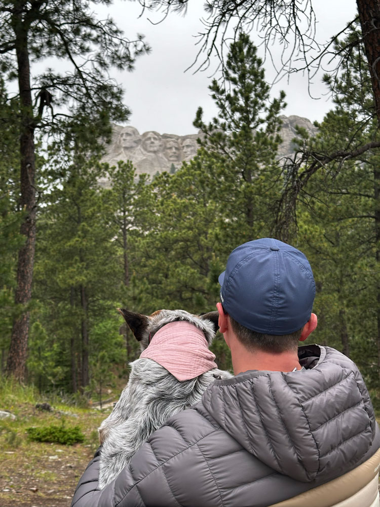 canine cancer research non-profit