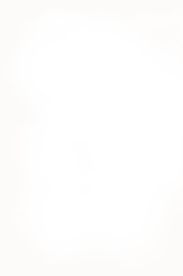 Penelope's Promise Book